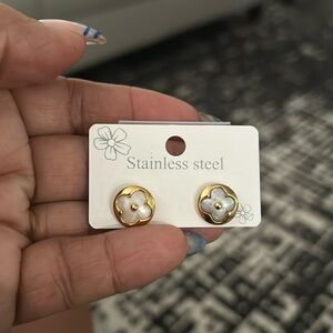 Stainless steel earrings